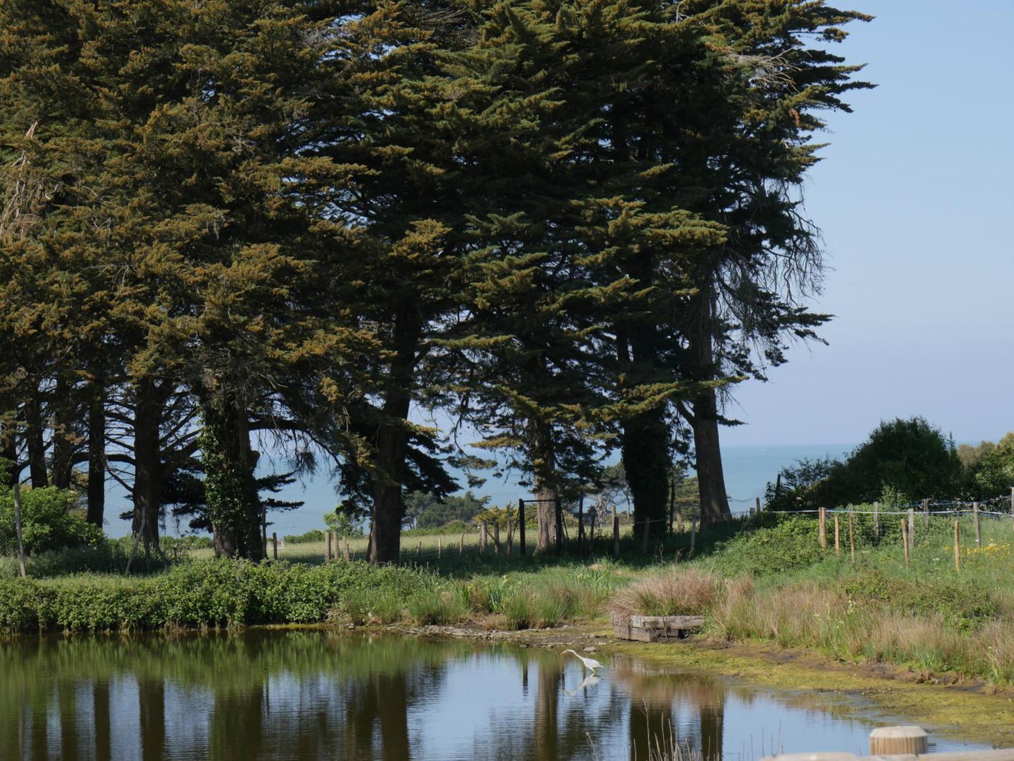 Eco-Domaine La Fontaine - Hotel-Spa Pornic Zewnętrze zdjęcie